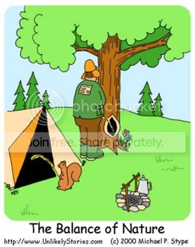 squirrels.jpg