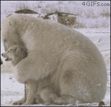 2p7myTf.gif