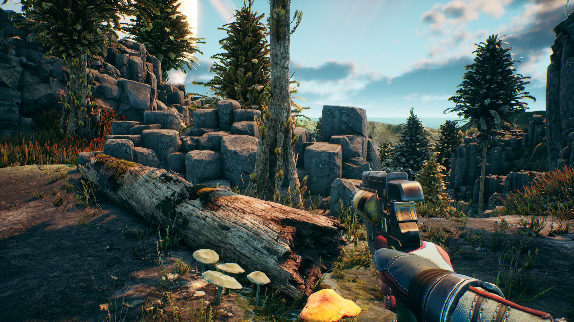 48956085483_1f65e01198_o_d.jpg