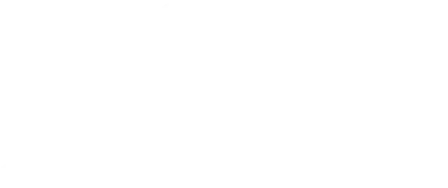 NIS-logo.webp