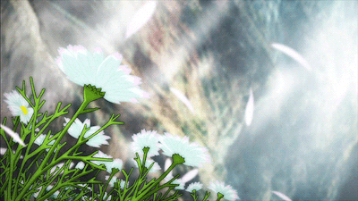 tumblr_mmcr46Y4P71rhz43wo1_400.gif