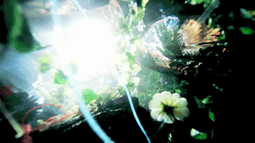 tumblr_nsuyv4ZPIk1rerxhwo2_500.gif