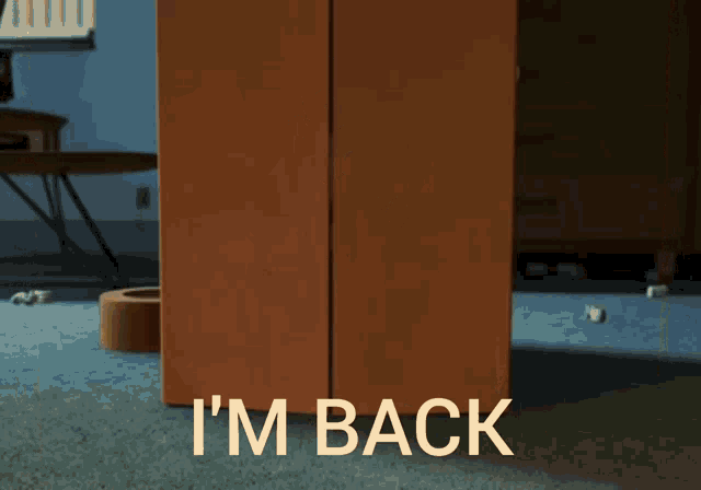 im_back_meme.gif