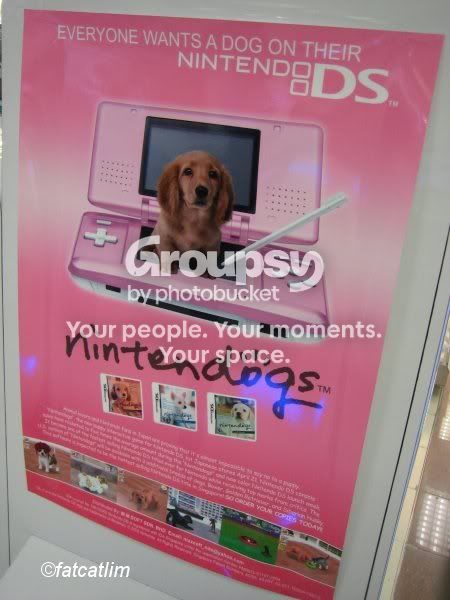 nintendo_11.jpg