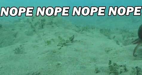 tumblr_inline_mv1ihvhKqV1rbekji.gif