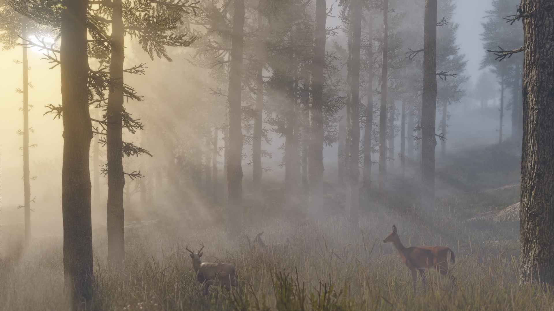 rdr2-030518-12.jpg