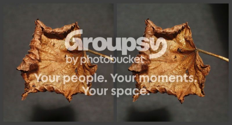 3dphotoc.jpg