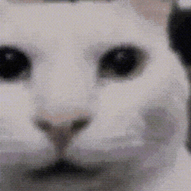 canny-uncanny.gif