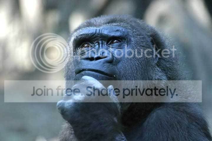 Thoughtful2.jpg