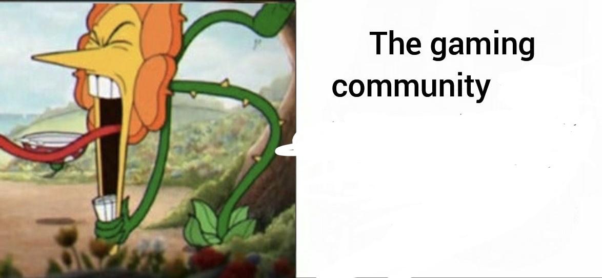 0vLP2QW.jpg