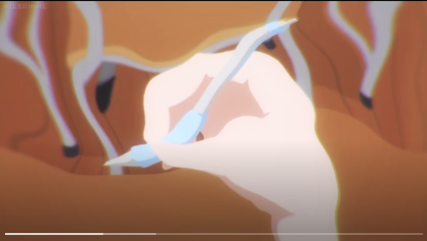 gqgtFc1.png