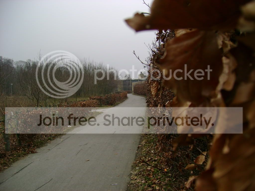 DSC01509.jpg