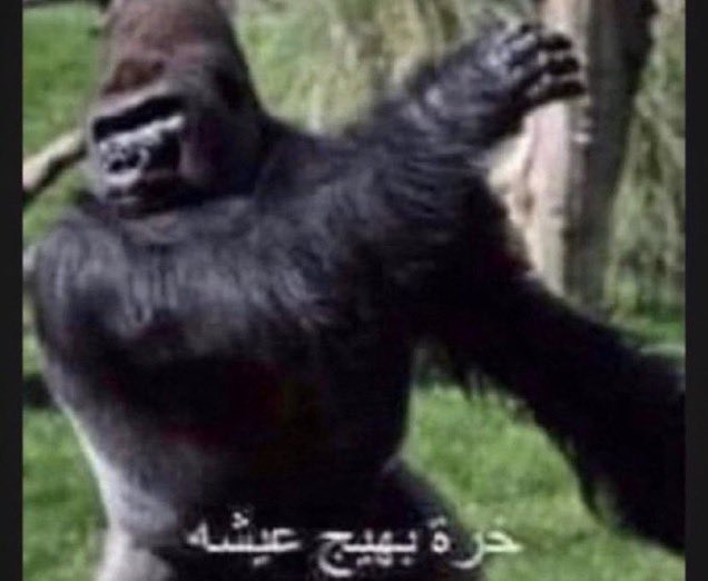 FhyBn11WAAEaA42.jpg