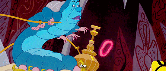 97473.gif
