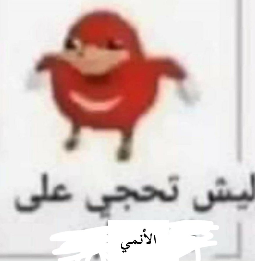 961048763.jpeg