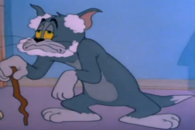 6efispkyrgx31.png