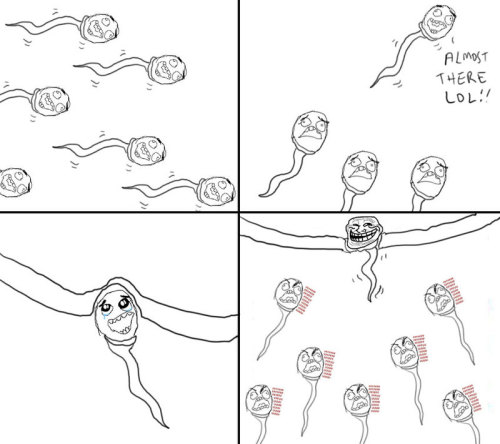 tumblr_kuv3ai5X3b1qzpwi0o1_500.jpg