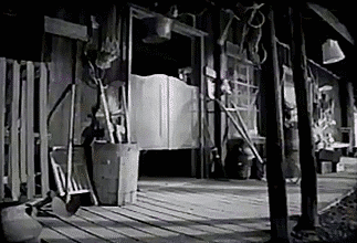 CkDJ8u6.gif