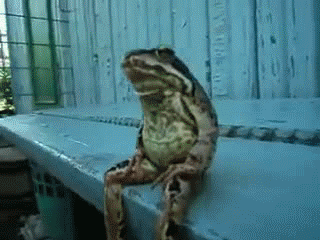736008c4e6e421a9a4633e5fbe9681d5.gif
