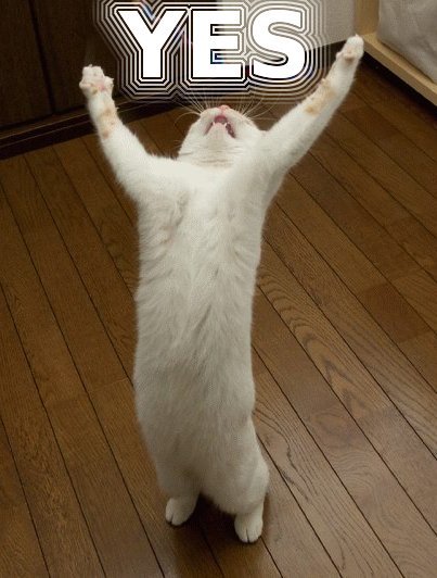 Eqo5c.jpg