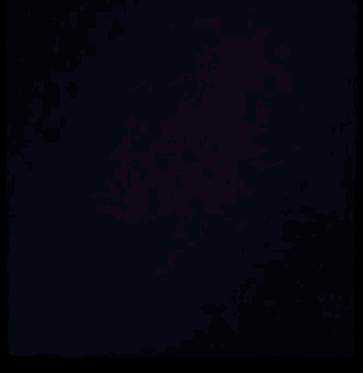 MrK2PXY.gif