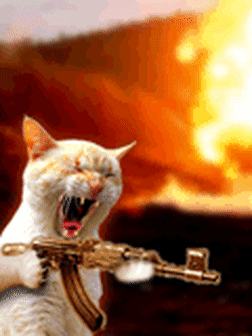 304559936064201.gif