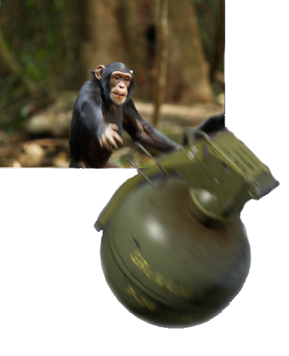 nXcjXbg.png