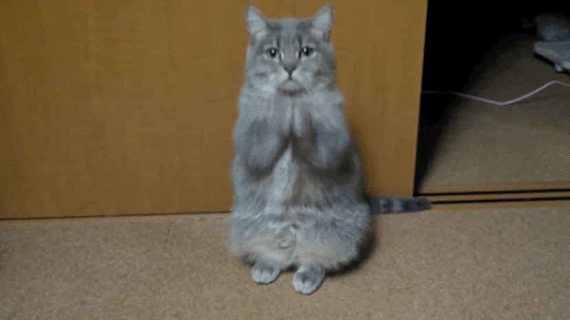 Bwlzh3q.gif