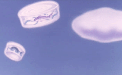 tumblr_pg7vlgu0CC1xvouqeo8_250.gifv
