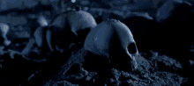 176987741111231.gif