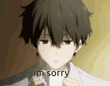 sorry-anime-anime-sorry.gif