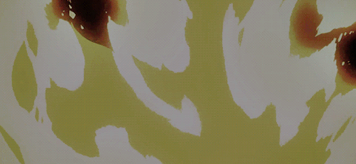 tumblr_nq9gziHJN41rk6bsxo2_500.gif