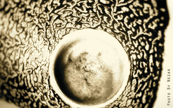 2310116418_68c997bf55_o.jpg
