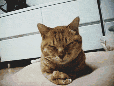 3Hobvlz.gif