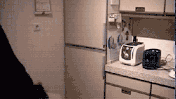 tumblr_m2fieftmll1qcb5fko1_250.gif