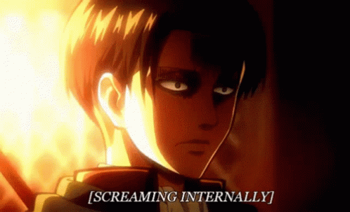 levi-ao-t.gif
