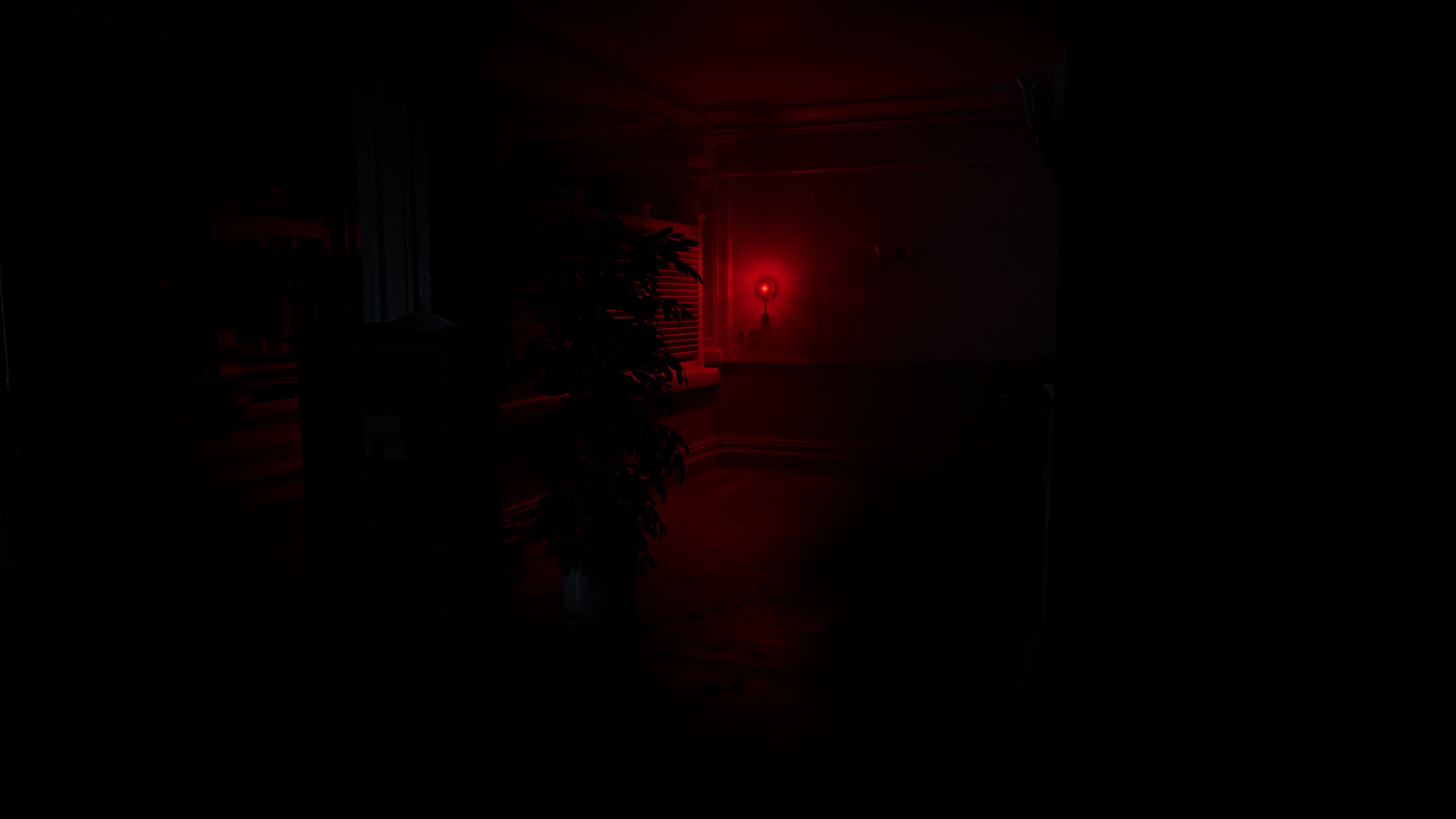 Y5mPpE5.jpeg