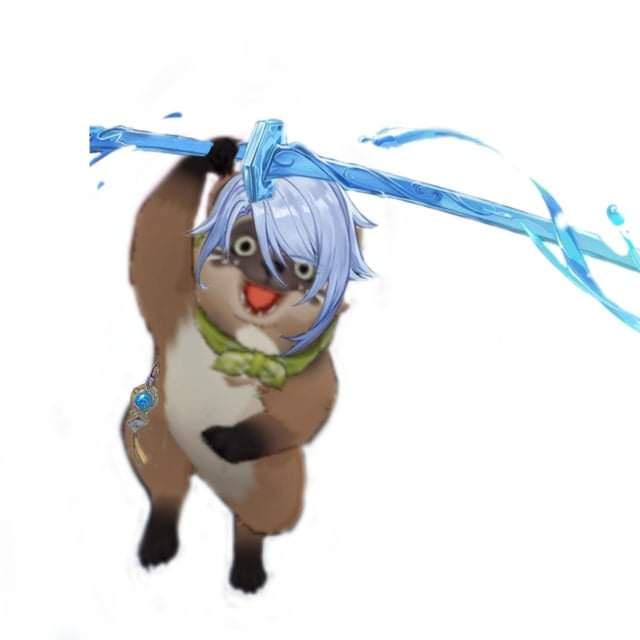 EVSSupY.jpeg