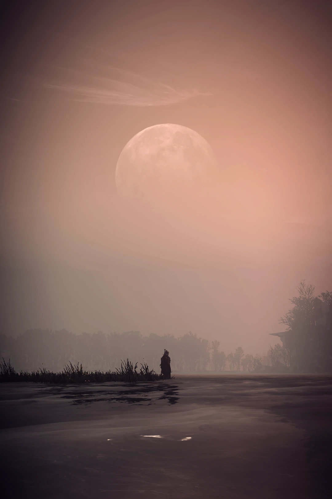 3156-1530529596-1544428443.png