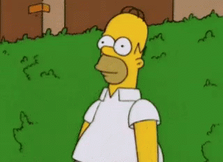 homer-simpson-the-simpsons.gif