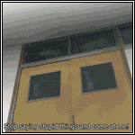 tumblr_mbmskmA98D1r0wypgo1_250.gif