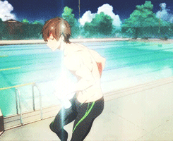 tumblr_mov79myhrK1so6y2bo1_250.gif