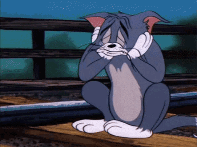 tom-and-jerry-tom.gif