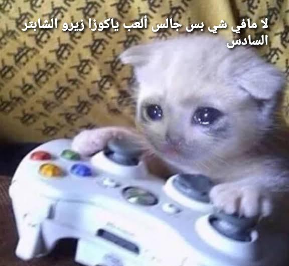 stXpQDK.jpg