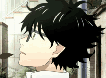 tenor.gif