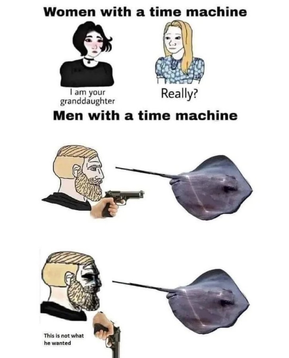 zjzloMq.jpeg