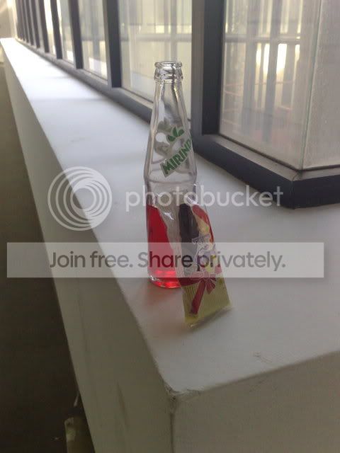 20090124174.jpg