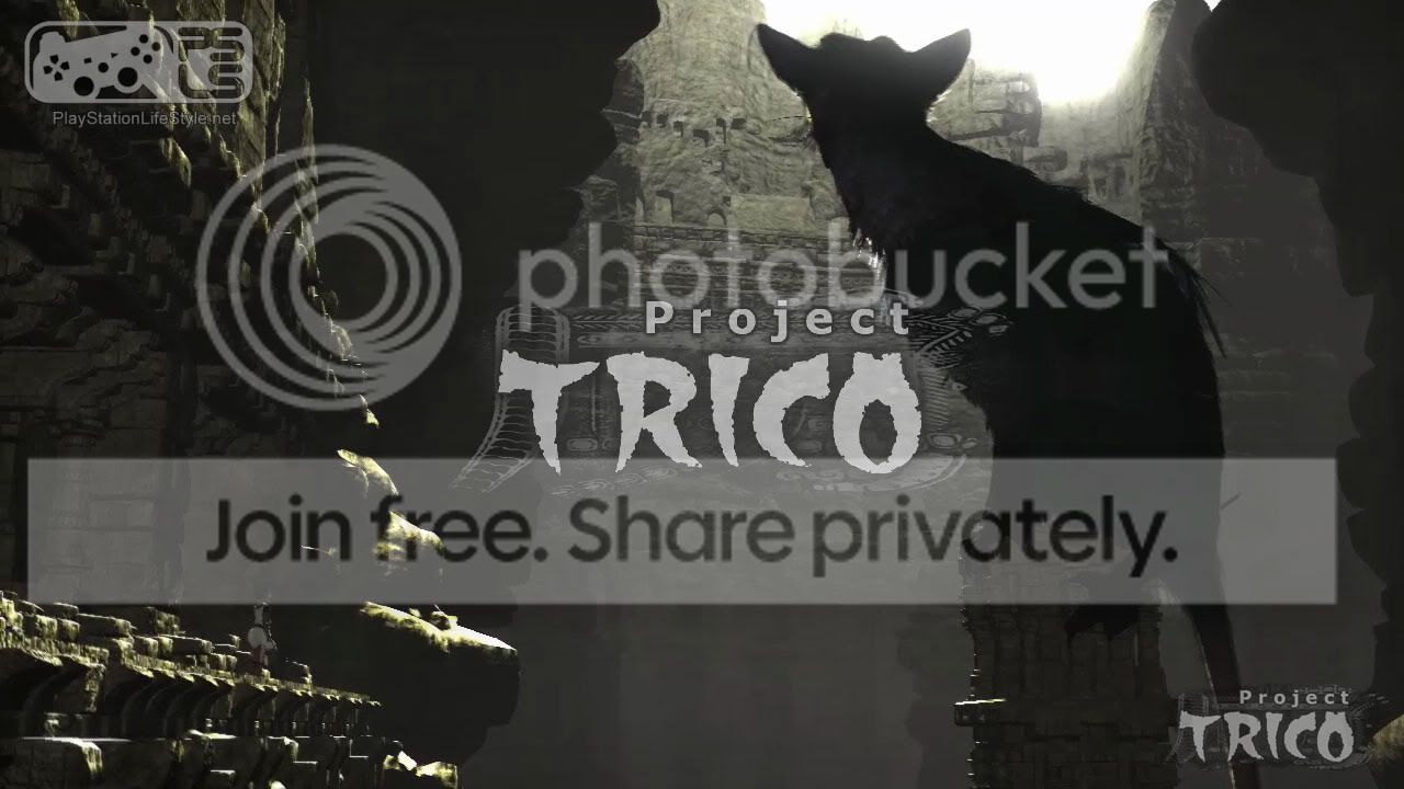 psls-trico-62392.jpg