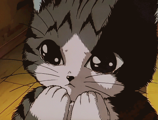 ae87f583c1c3a2a1fd0e93fcd031651f.gif