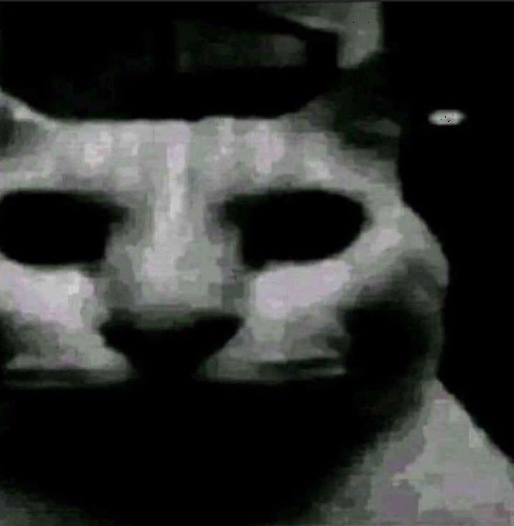 bdf.jpg